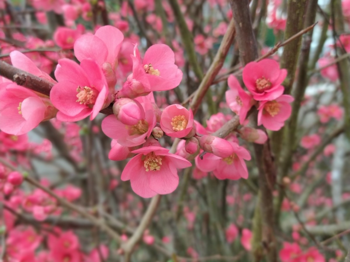 Tarifs Coiffure à&nbsp;Domicile