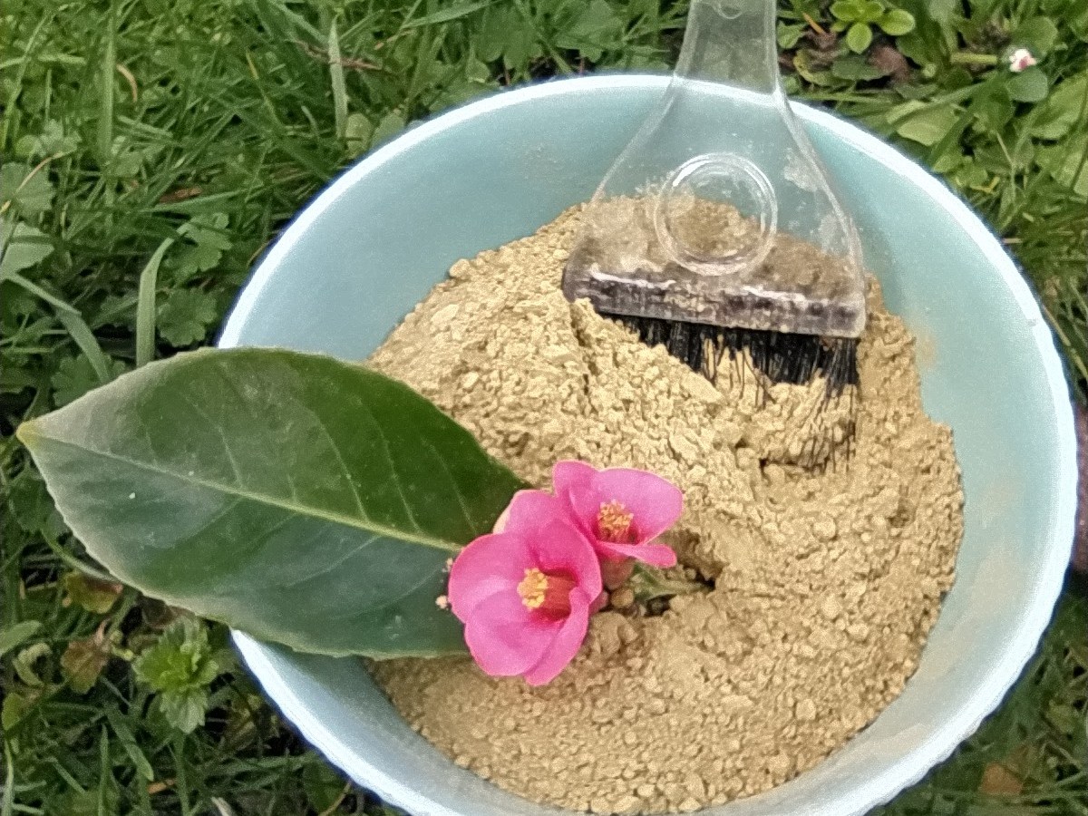 Qu&rsquo;est ce que la Coloration&nbsp;végétale